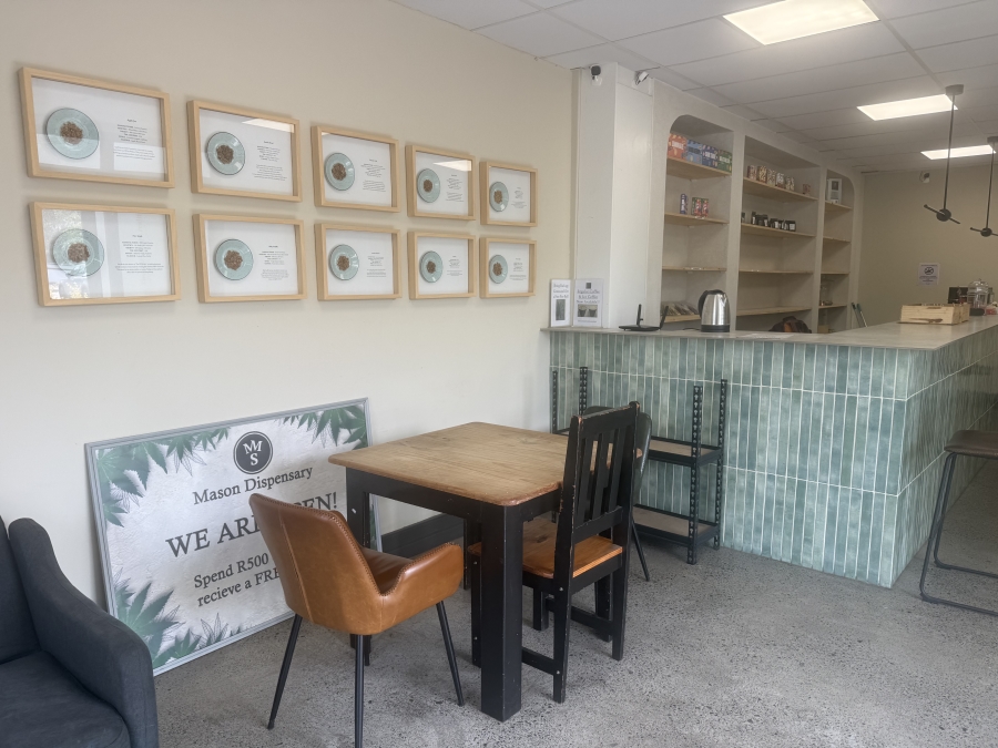 To Let Commercial Property for Rent in Paardevlei Western Cape
